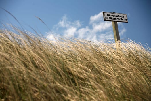 Dune protection on the North Sea coast