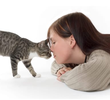 Cuddly cat