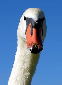 He was pretty angry with me! I wonder if I got too close to him?