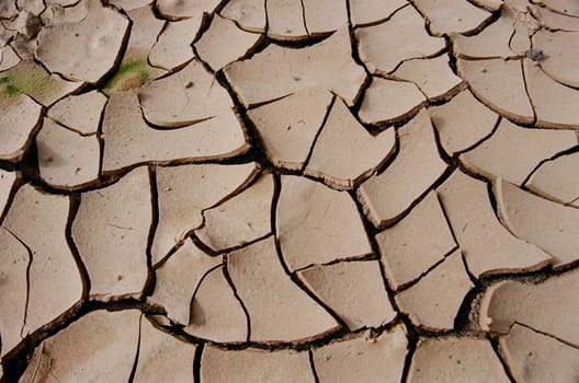 Traces of the rain
