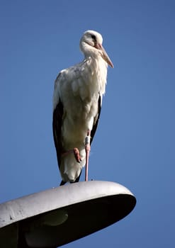 Landing place