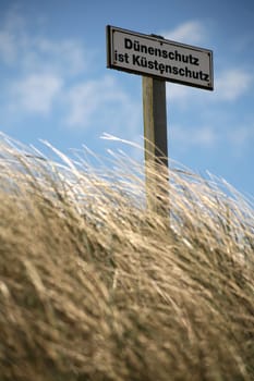 Dune protection on the North Sea coast