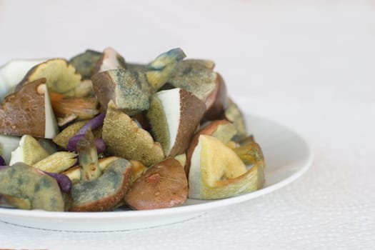 fresh edible mushrooms