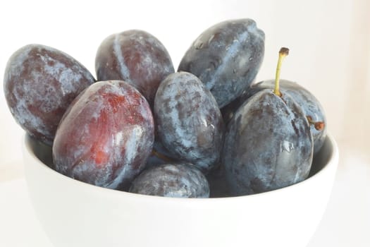 Plums on a white background