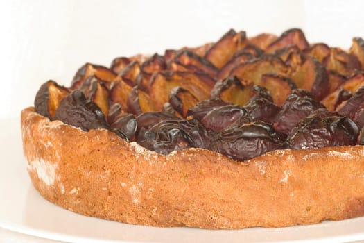 Plum cake made from fresh plums