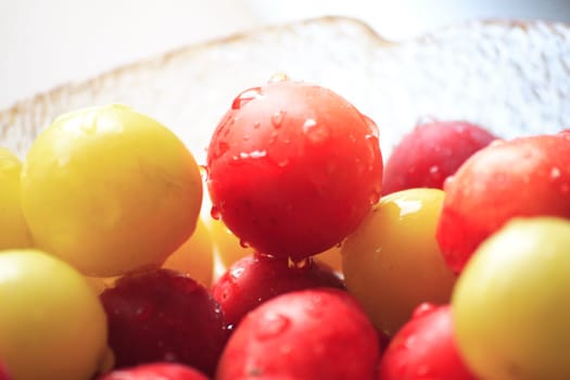Mirabelle plums in a bowl