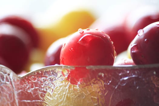 Mirabelle plums in a bowl 3