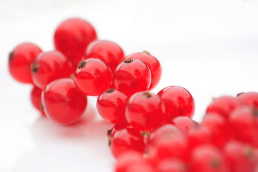 Ribes rubrum