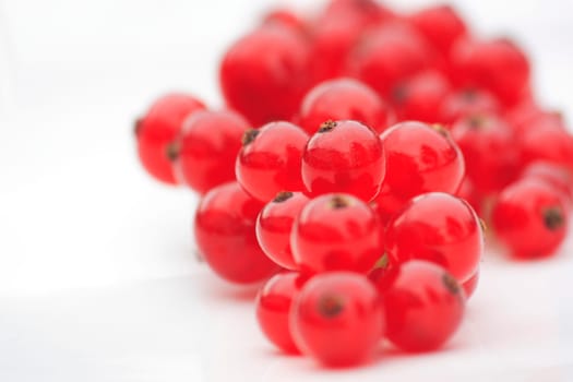 Ribes rubrum