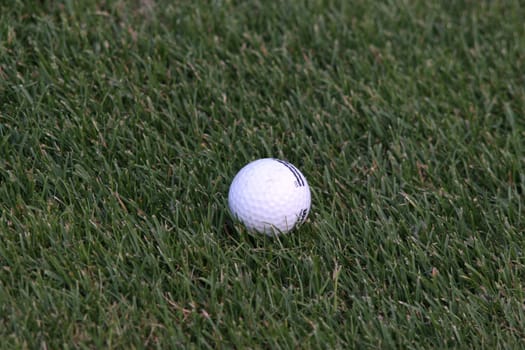 Golf ball