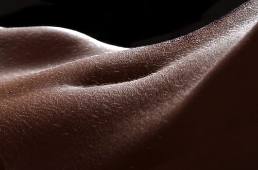 Body Landscape