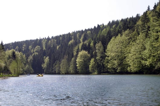 Pure nature