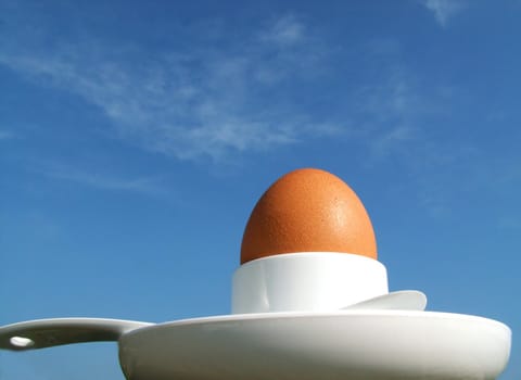 Summer Egg