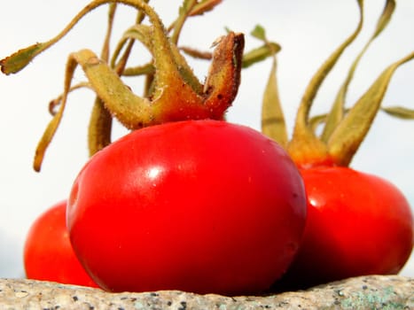 Haws