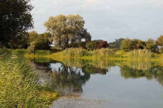 Kühkopf-Knoblochsaue on the Old Rhine