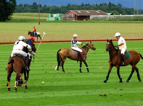 Polo game