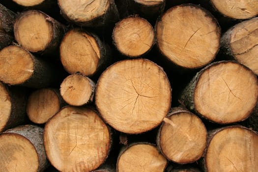Woodpile