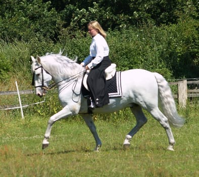 at a trot