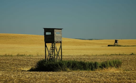 As children we loved to play here.....! After the harvest there was always a particularly clear view,but also for the deer....!:-)