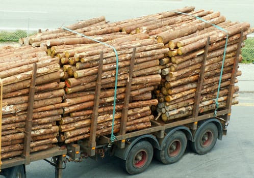 Timber cargo