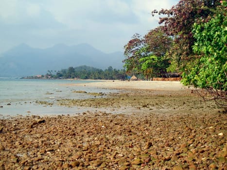At low tide