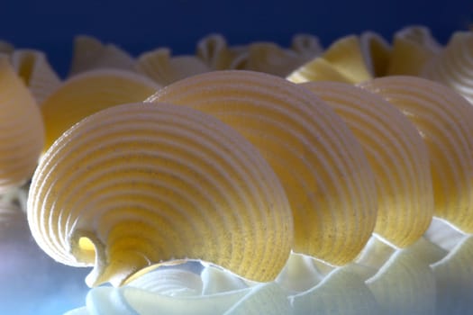 Tabletop,2 types of pasta