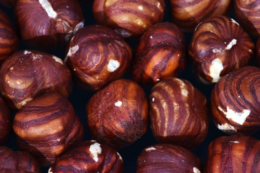 Hazelnut Macro