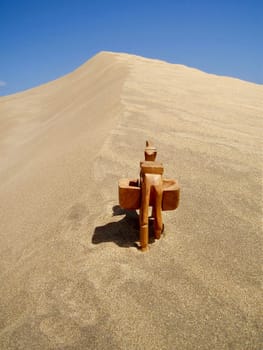 On camel tour