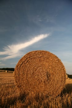 Bales on a stubble field