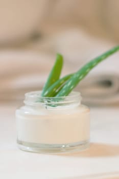 Cream pot with aloe vera
