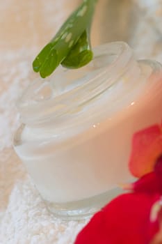 Cream pot with aloe vera
