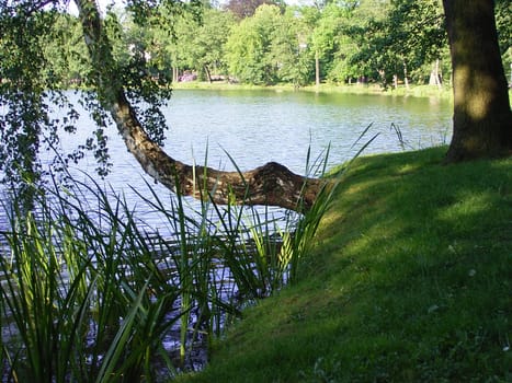 At the Burgsee
