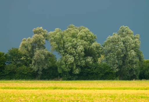 just before a thunderstorm