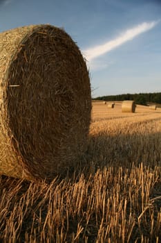 Bales on a stubble field