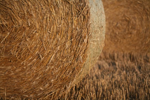 Bales on a stubble field