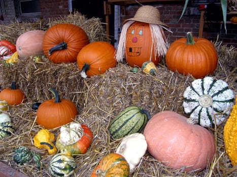 Every year,a farmer in Vellmar decorates this wagon with pumpkins.