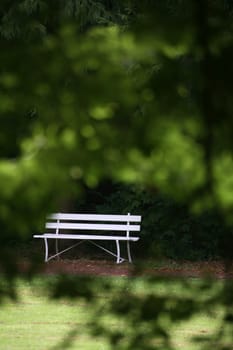 Bench in a park