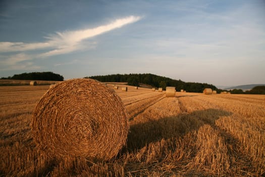 Bales on a stubble field