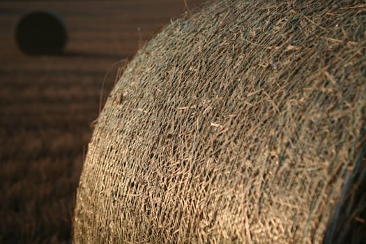 Bales on a stubble field