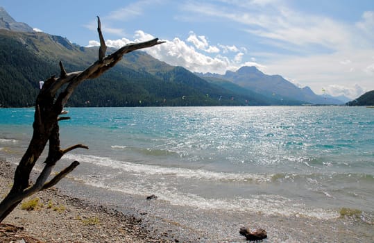 Lake Silvaplana is located in an alpine high valley,the Upper Engadine,on the southern side of the Alps. Between St. Moritz and the Maloja Pass there are three lakes. Lake Silvaplana is the most suitable for windsurfing. Since the lake is located at 1815 meters above sea level,m