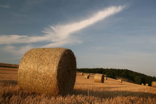 Bales on a stubble field