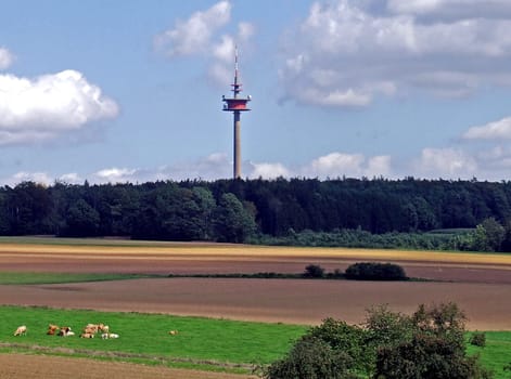 Tower