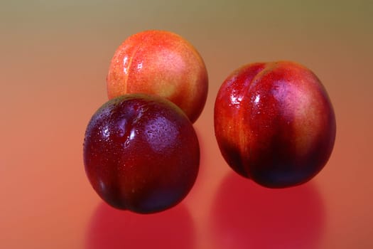 Nectarines with and without plates