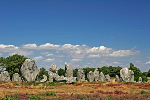 Kermario,Megalithic Fields
