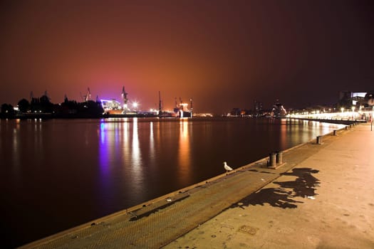 The lonely seagull at the harbor