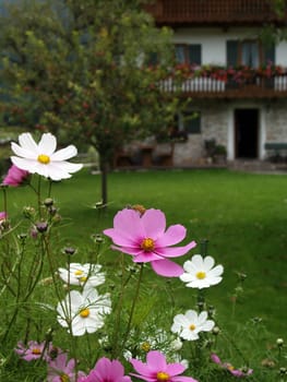 Bavarian-style garden