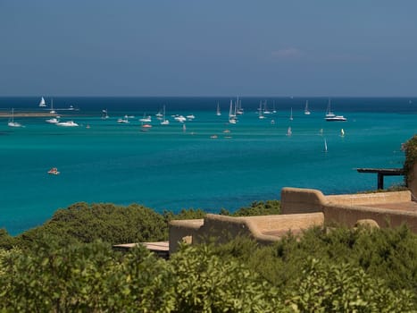 In front of the "La Pelosa"" Sardinia"