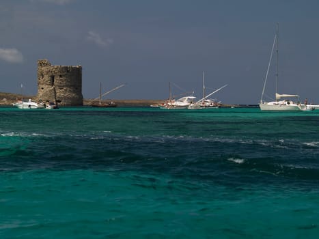 In front of the island of "Asinara"" Sardinia"