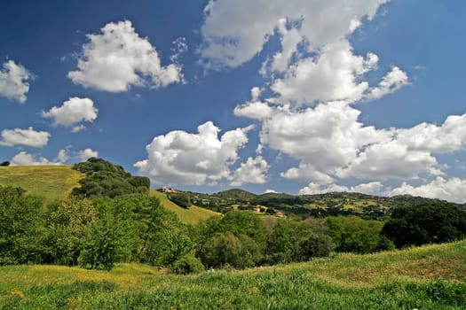 Sardinia,On Lake Liscia