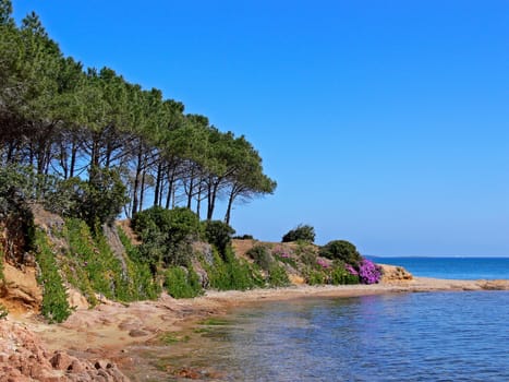 Sardinia,Cannigione,Golfo di Arzachena